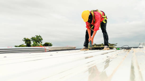 Best Sheet Metal Roofing  in Williamstown, WV